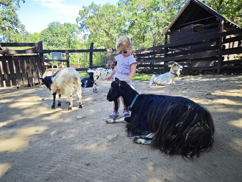 IMG 20230729 103202.jpg