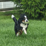 PXL 20230729 114922921