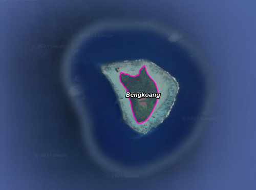 bengkoang.png