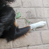 PXL 20230729 115126116