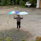 IMG 4546