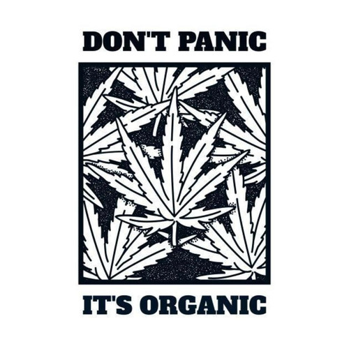 IMG 20230731 WA0021.jpg