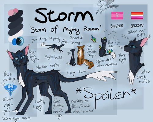STORM.png