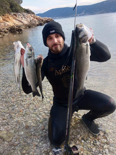 received 894396331697975