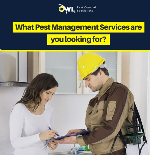 Pest Control Services in Dublin - Get Rid of Unwanted Pests.jpg