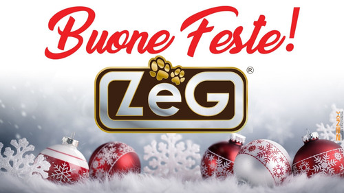zegfeste.jpg