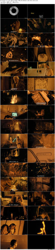 The.Element.of.Crime.1984.CC.BluRay.1080p.DTS HD.MA1.0.x265.10bit BeiTai preview.jpg