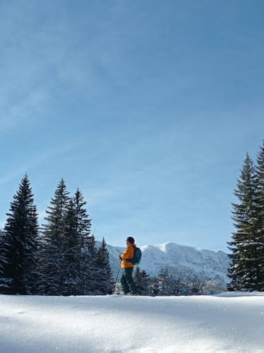 WhatsApp Image 2023 01 15 at 17.16.04.jpg