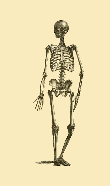 dad5c5c1a082a8d200c8e563b56216fa.gif