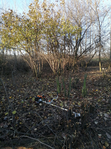 IMG 20191216 144749 1