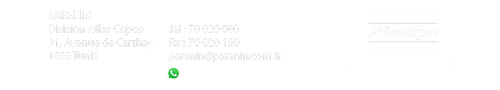 image 3.png