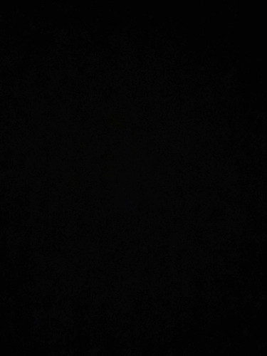 E29594BD A460 4AC3 8B24 2837EC4BF519.jpg
