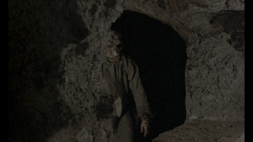 Burial.Ground.The.Nights.of.Terror.1981.2160p.UHD.BluRay.REMUX.DV.HDR.HEVC.DTS HD.MA.1.0 KURiSU 00.1.png