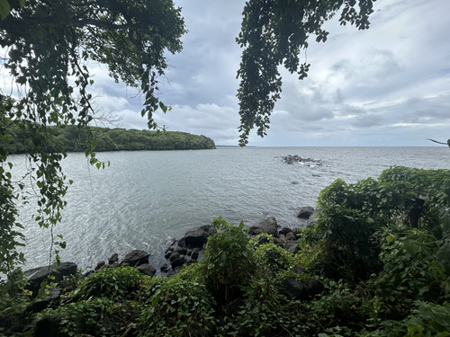 IMG 0019.jpg