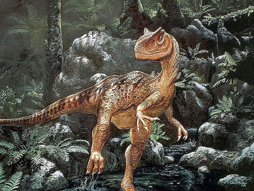 dino2.jpg