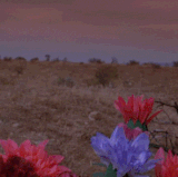tumblr m6iuyk91F81qhktpto1 500.3
