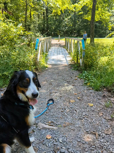 PXL 20230819 162613528 exported 800 1692469162407~2