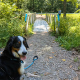 PXL 20230819 162613528 exported 800 1692469162407~2