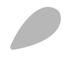 shadow.png