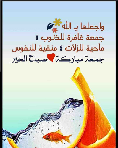 7EFC0FFE D9F0 4EF2 822F 3CB311D944D8.1