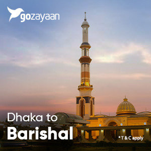 DACBZL 300x300.jpg