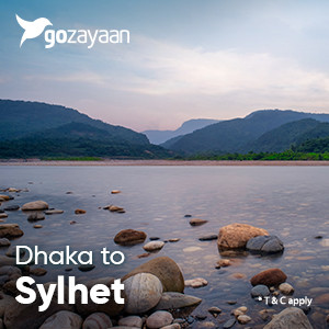 DACZYL 300x300.jpg