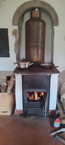 IMG 20221124 134039.jpg