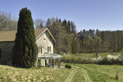 SDIM0888.jpg