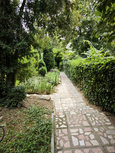 IMG 20230803 133257.jpg