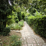 IMG 20230803 133257