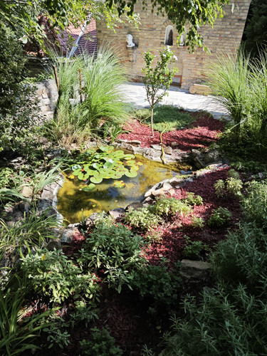IMG 20230803 150137.jpg