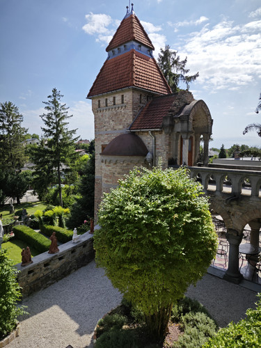 IMG 20230803 145626.jpg