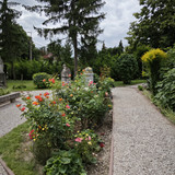IMG 20230803 132557