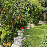 IMG 20230803 133052