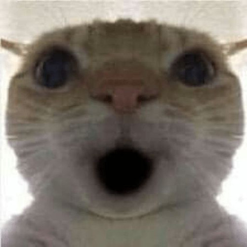 2f49f990f2e6945570ea2804fb1ab8af.1