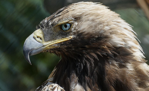 b.jpg