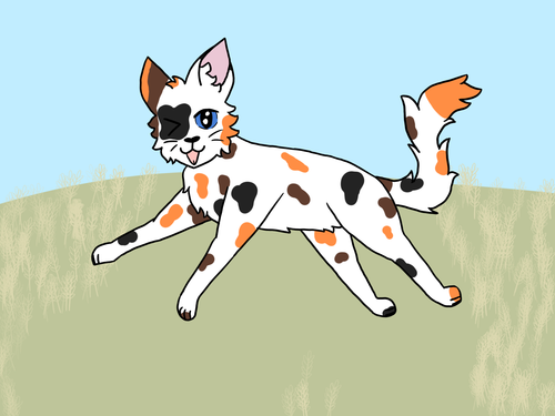 IMG 5179.png