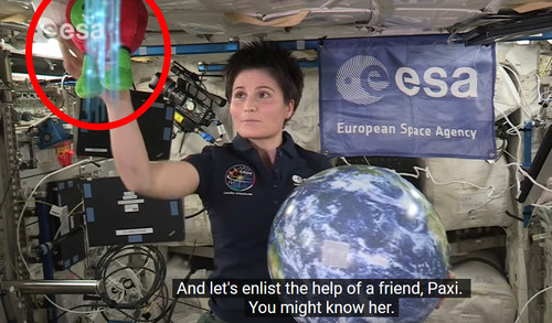 Space station doll.jpg