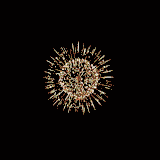 giphy (2).gif