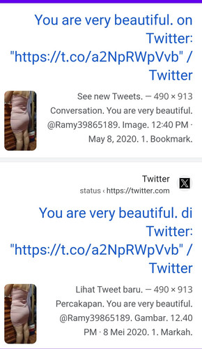 Screenshot ٢٠٢٣٠٨٢١ ٠٤٣٤١٩ Search By Image.jpg