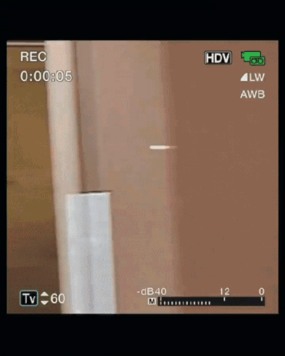 Goofy Home Video.gif