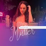 MuIIerUpdates01.png