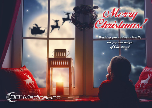 4078 3B christmas card2.jpg