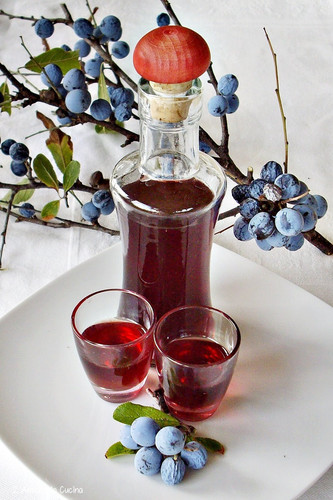 Liquore di prugne selvatiche.jpg