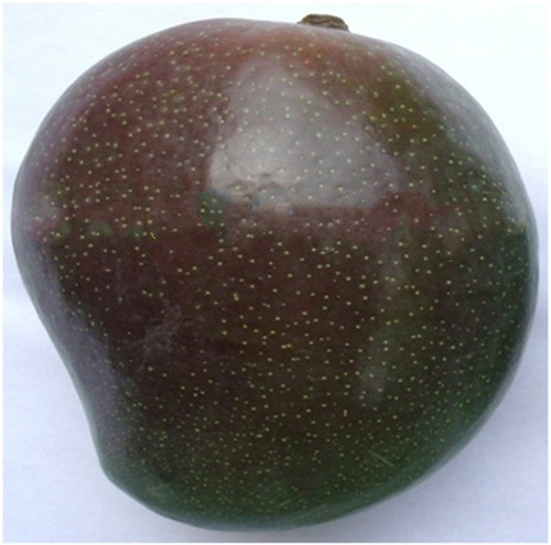 Black Stone.jpg