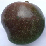 Black Stone