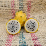 Palora DragonFruit Spicy Exotics