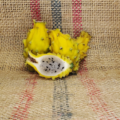 Yellow Dragon Fruit Spicy Exotics 3.jpg