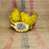 Yellow Dragon Fruit Spicy Exotics 3