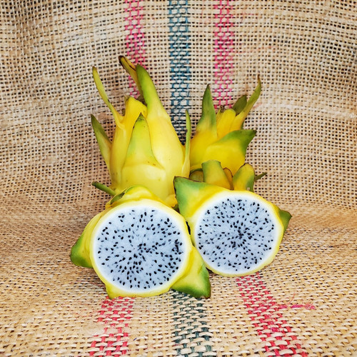 Israel Yellow Dragon Fruit by Spicy Exotics.jpg